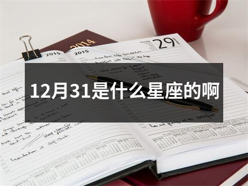 12月31是什么星座的啊