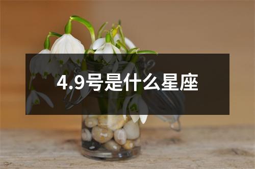 4.9号是什么星座