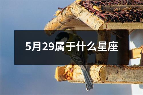 5月29属于什么星座