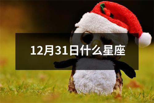 12月31日什么星座