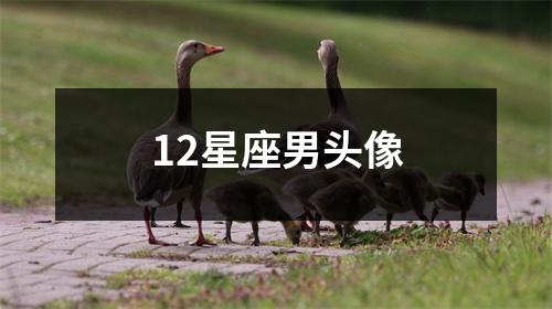 12星座男头像