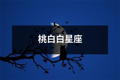 桃白白星座