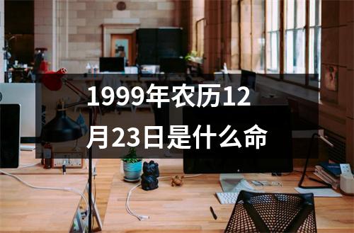 1999年农历12月23日是什么命