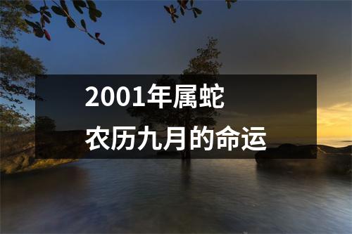 2001年属蛇农历九月的命运