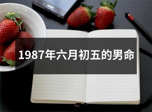 1987年六月初五的男命