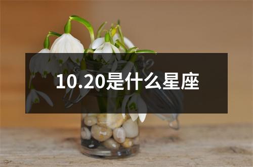 10.20是什么星座