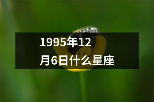 1995年12月6日什么星座