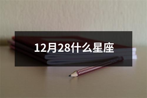 12月28什么星座