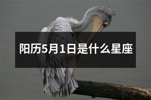 阳历5月1日是什么星座