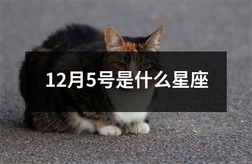 12月5号是什么星座