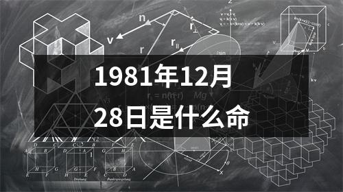 1981年12月28日是什么命