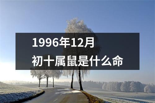 1996年12月初十属鼠是什么命