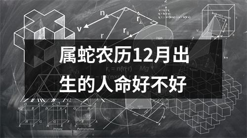 属蛇农历12月出生的人命好不好