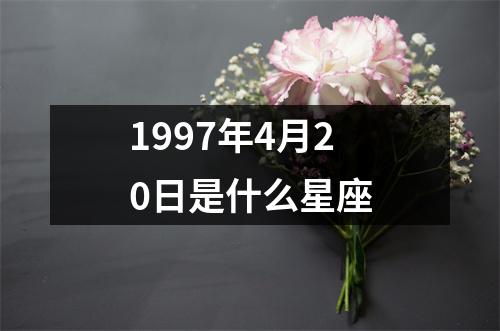 1997年4月20日是什么星座