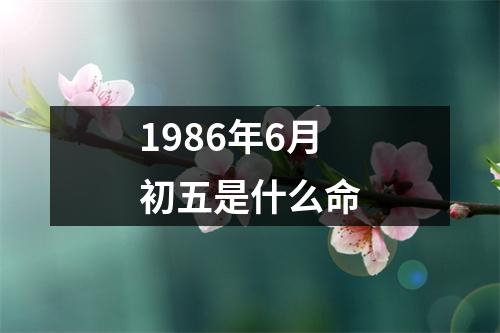 1986年6月初五是什么命