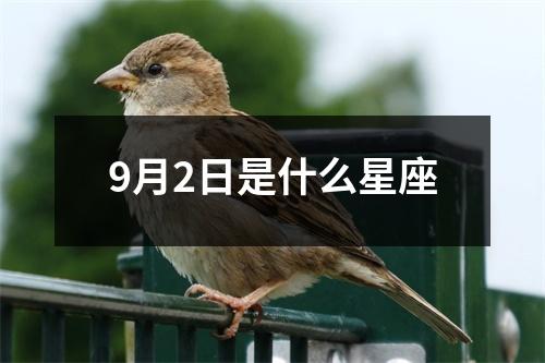 9月2日是什么星座