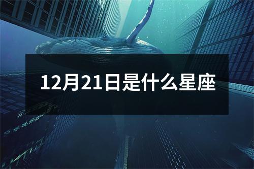 12月21日是什么星座