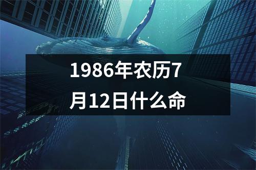 1986年农历7月12日什么命