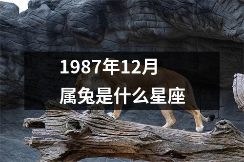 1987年12月属兔是什么星座