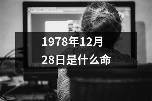 1978年12月28日是什么命