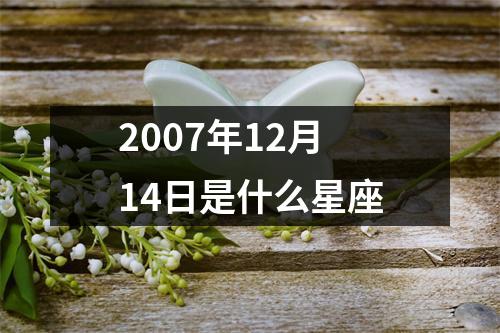 2007年12月14日是什么星座