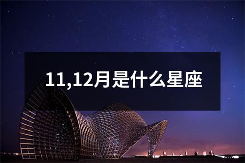 11,12月是什么星座