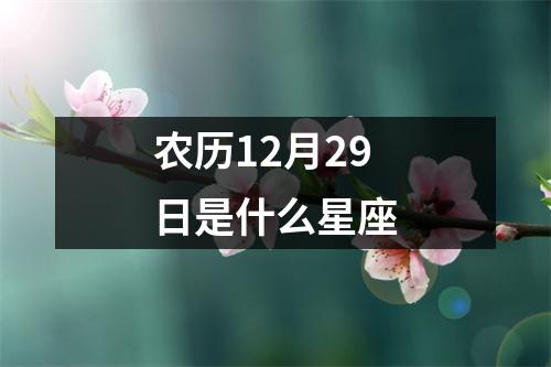 农历12月29日是什么星座