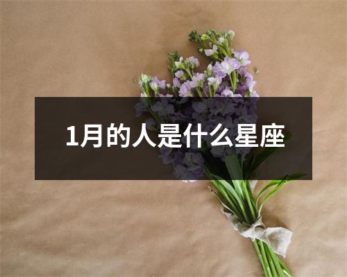 1月的人是什么星座