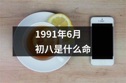 1991年6月初八是什么命