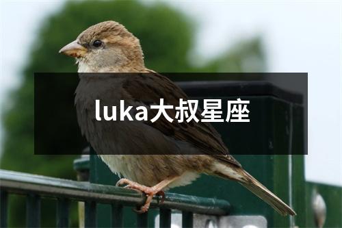 luka大叔星座