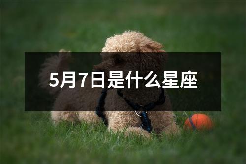 5月7日是什么星座