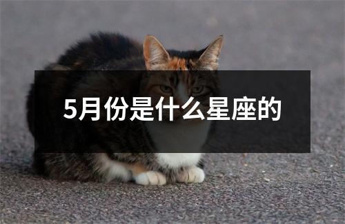 5月份是什么星座的