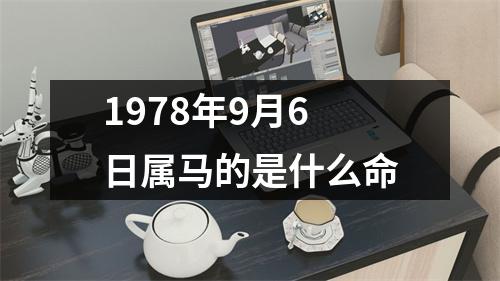 1978年9月6日属马的是什么命