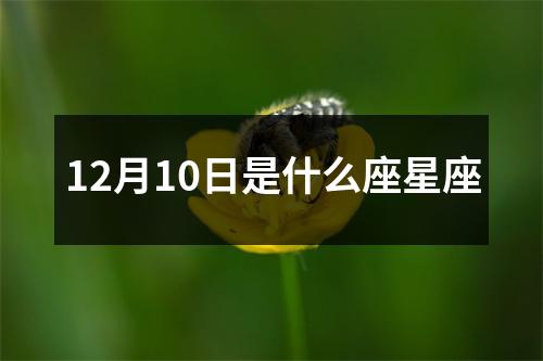 12月10日是什么座星座