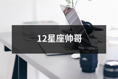 12星座帅哥