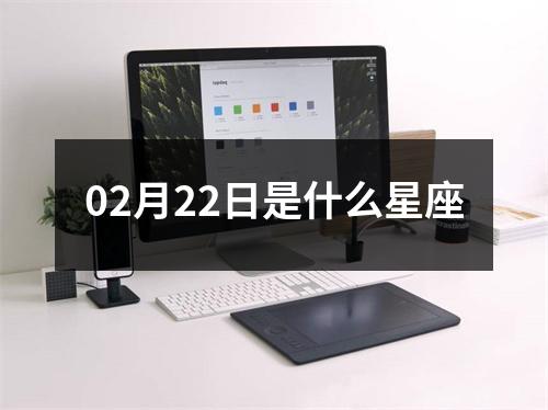 02月22日是什么星座