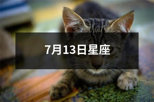 7月13日星座