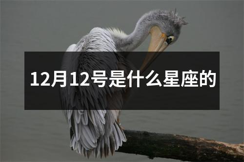 12月12号是什么星座的