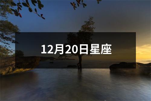 12月20日星座