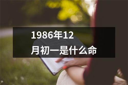 1986年12月初一是什么命