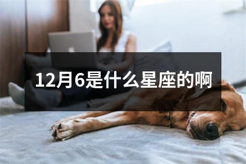 12月6是什么星座的啊