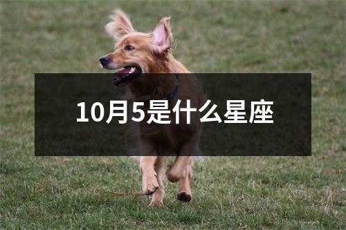 10月5是什么星座