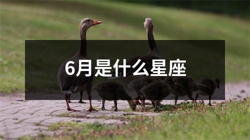 6月是什么星座