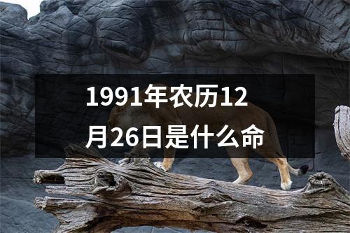 1991年农历12月26日是什么命