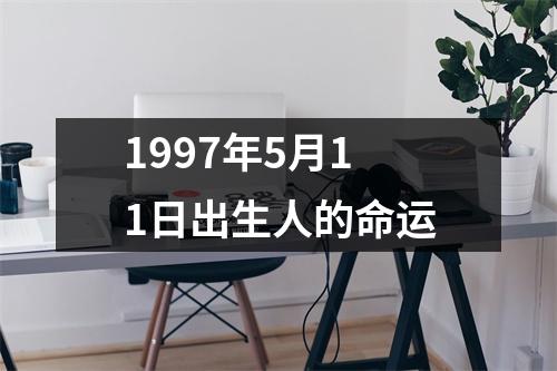 1997年5月11日出生人的命运