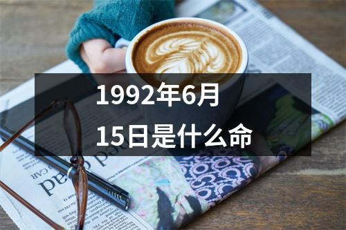 1992年6月15日是什么命