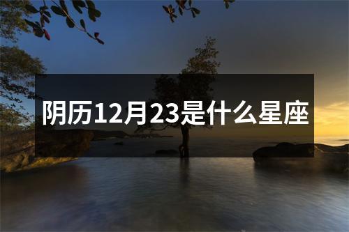 阴历12月23是什么星座