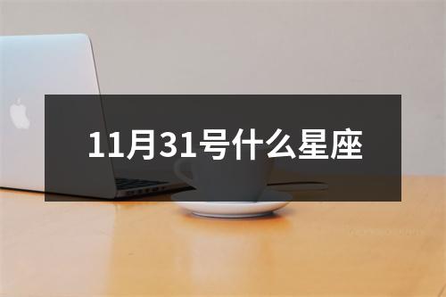 11月31号什么星座