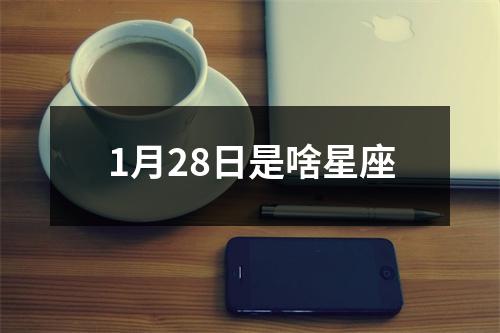 1月28日是啥星座