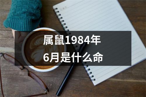 属鼠1984年6月是什么命